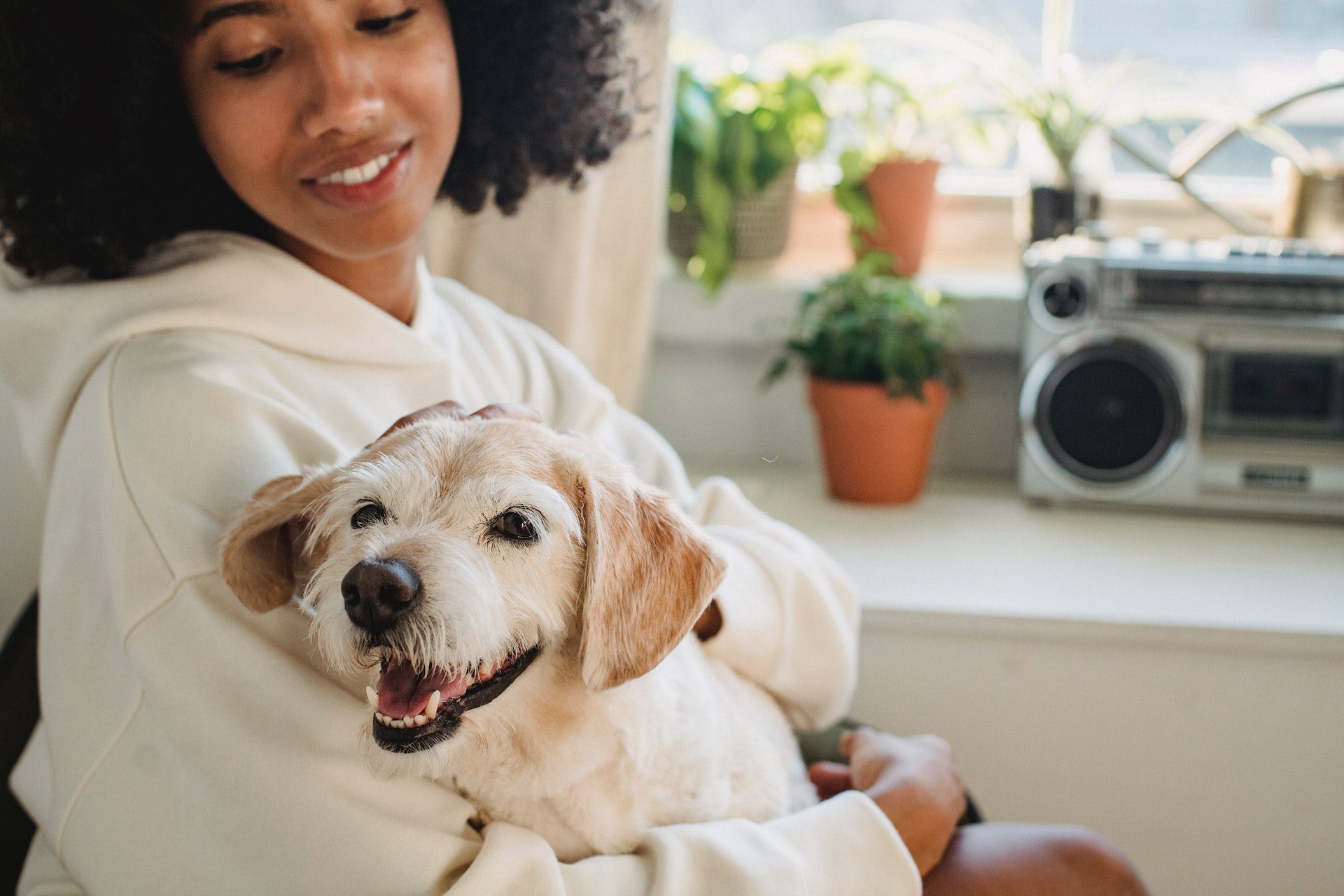 Crop woman hugging cute dog in room Crop woman hugging cute dog in room